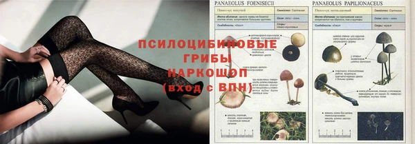 дживик Заводоуковск