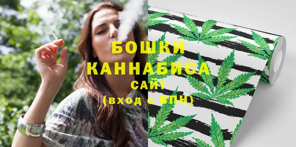 дживик Заводоуковск