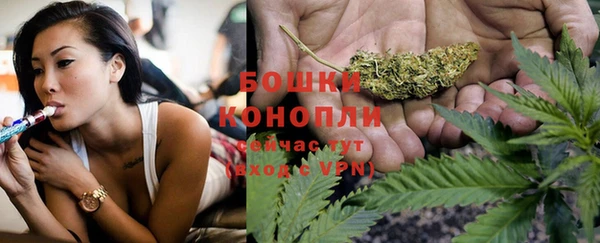 PSILOCYBIN Заволжск