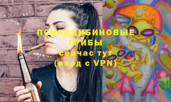 дживик Заводоуковск