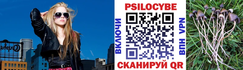 Псилоцибиновые грибы GOLDEN TEACHER  Купить закладки  Гагарин 